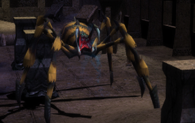 Spider